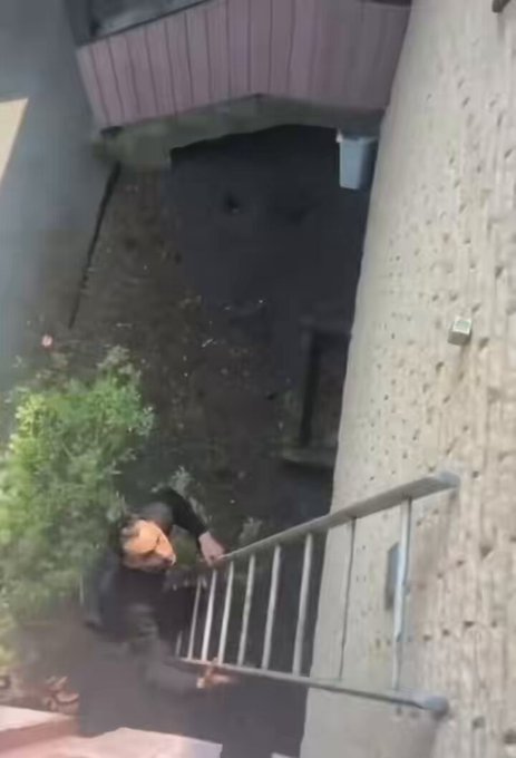 Vecinos colegas que se ofrecen amablemente a pelarte la fruta.