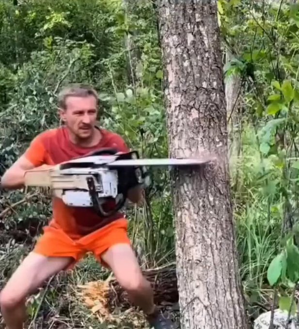 La forma más exquisita que he visto de talar un árbol.