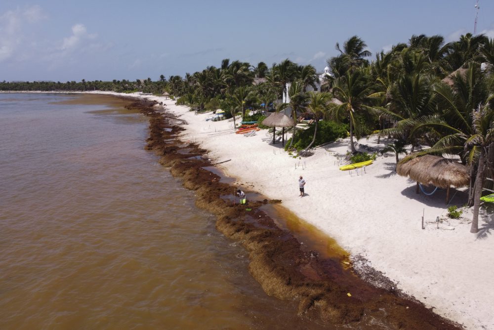 TULUM, RIVIERA MAYA. El 80% de los hoteles, tiendas y restaurantes ABANDONADOS