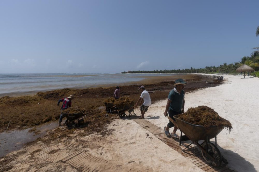 TULUM, RIVIERA MAYA. El 80% de los hoteles, tiendas y restaurantes ABANDONADOS