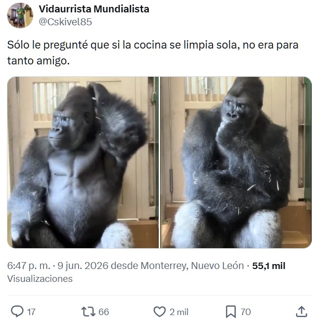 Somos monos sin pelo.