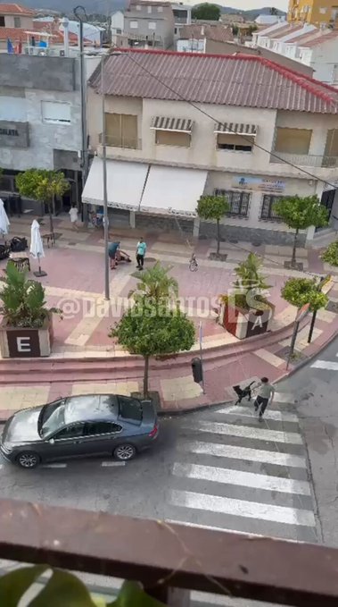 ¿Qué haríais si un sujeto así pega a vuestro perro?