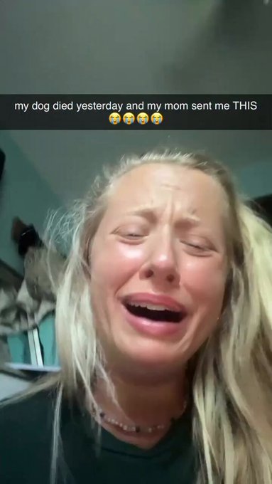 Su perro estira la pata mientras ella está fuera y su madre le envía este vídeo para comunicárselo.