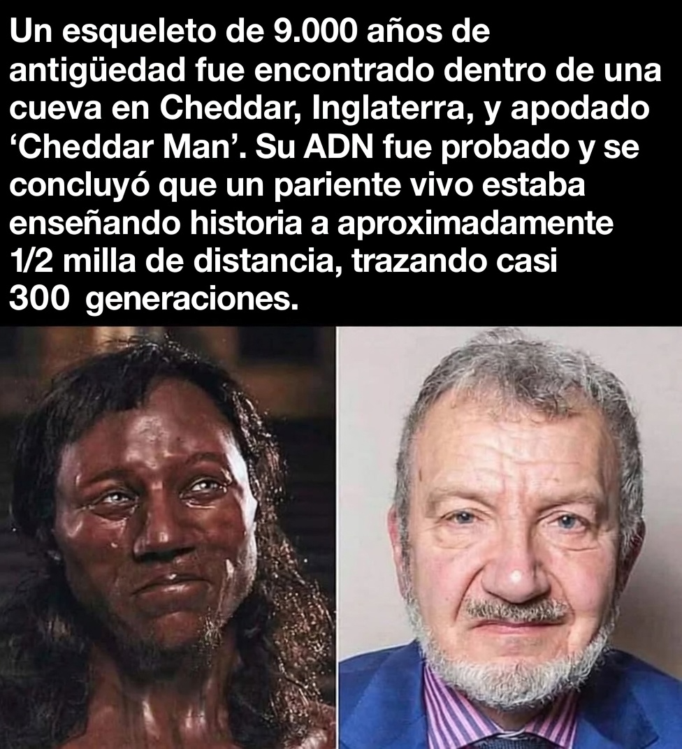 300 generaciones en un radio de menos de 1km