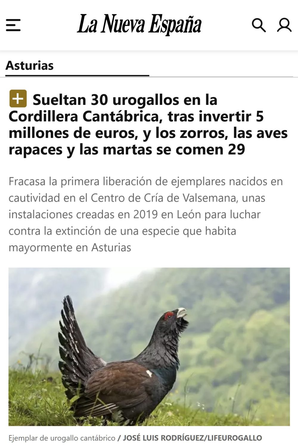 La comida para pájaros más cara de la historia.