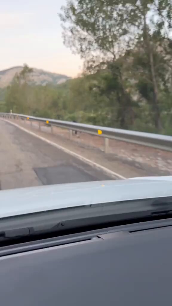 Son adelantados por un oso mientras circulaban por una carretera de León.