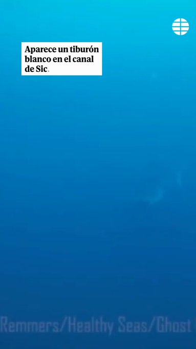 Unos buceadores observan por primera vez un gran tiburón blanco en el Mar Mediterráneo