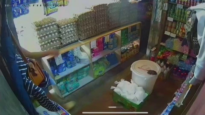 Protegiendo los huevos durante un terremoto de magnitud 7,8