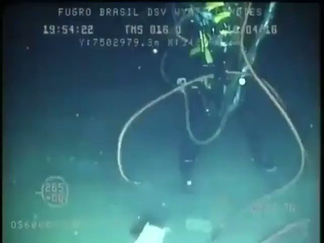 Un buceador es atacado por un pez espada a 220 metros de profundidad.