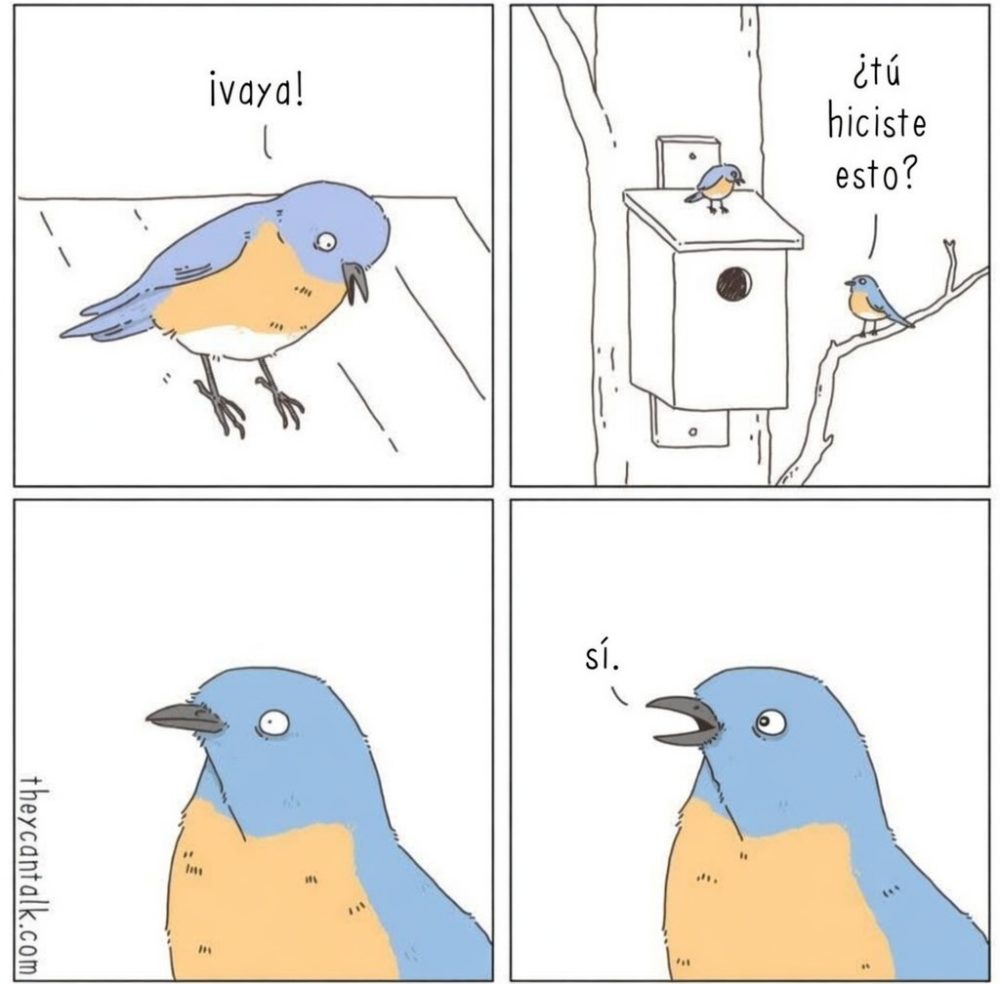 Sí