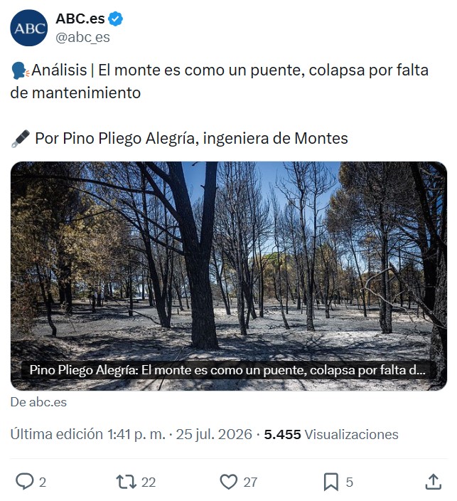 "Pino Pliego"