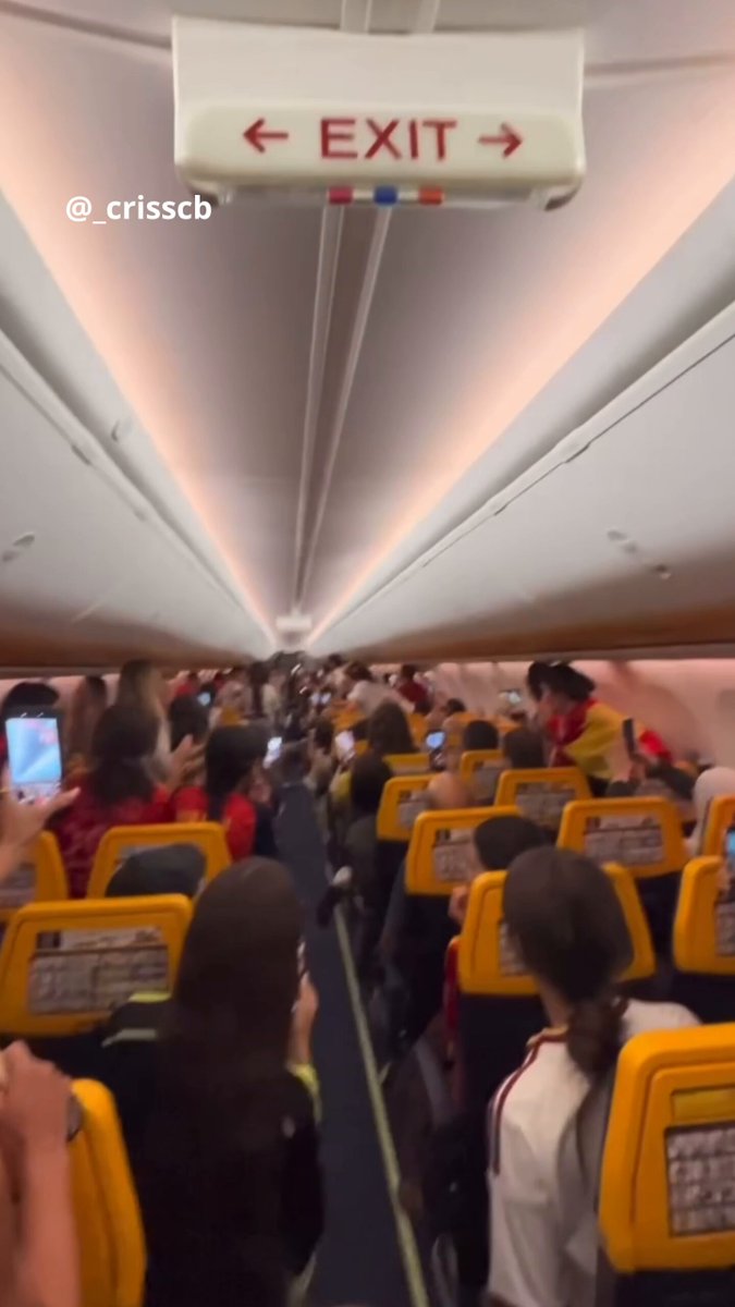 Así se enteraron los pasajeros españoles de un avión de que España era campeona del mundo.