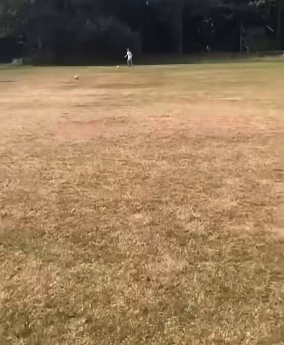 Merino cada vez que entra al campo.