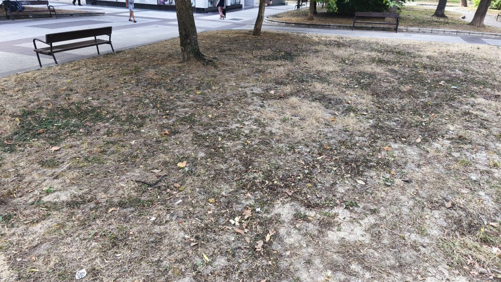 Un vecino de Mataró ha sido multado con 1.800 € por el ayuntamiento por haber plantado árboles y arreglado los bancos de la ciudad.
