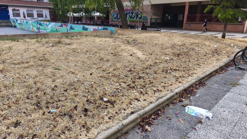 Un vecino de Mataró ha sido multado con 1.800 € por el ayuntamiento por haber plantado árboles y arreglado los bancos de la ciudad.
