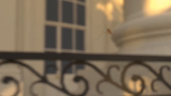 Dos ingenieros franceses han desarrollado Tornyol, un mini-drone autónomo de 40 gramos capaz de detectar y eliminar mosquitos en pleno vuelo, que reconoce el batir de sus alas, sin atacar a las abejas ni a otros insectos polinizadores.