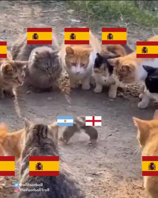 Así estamos viendo el partido