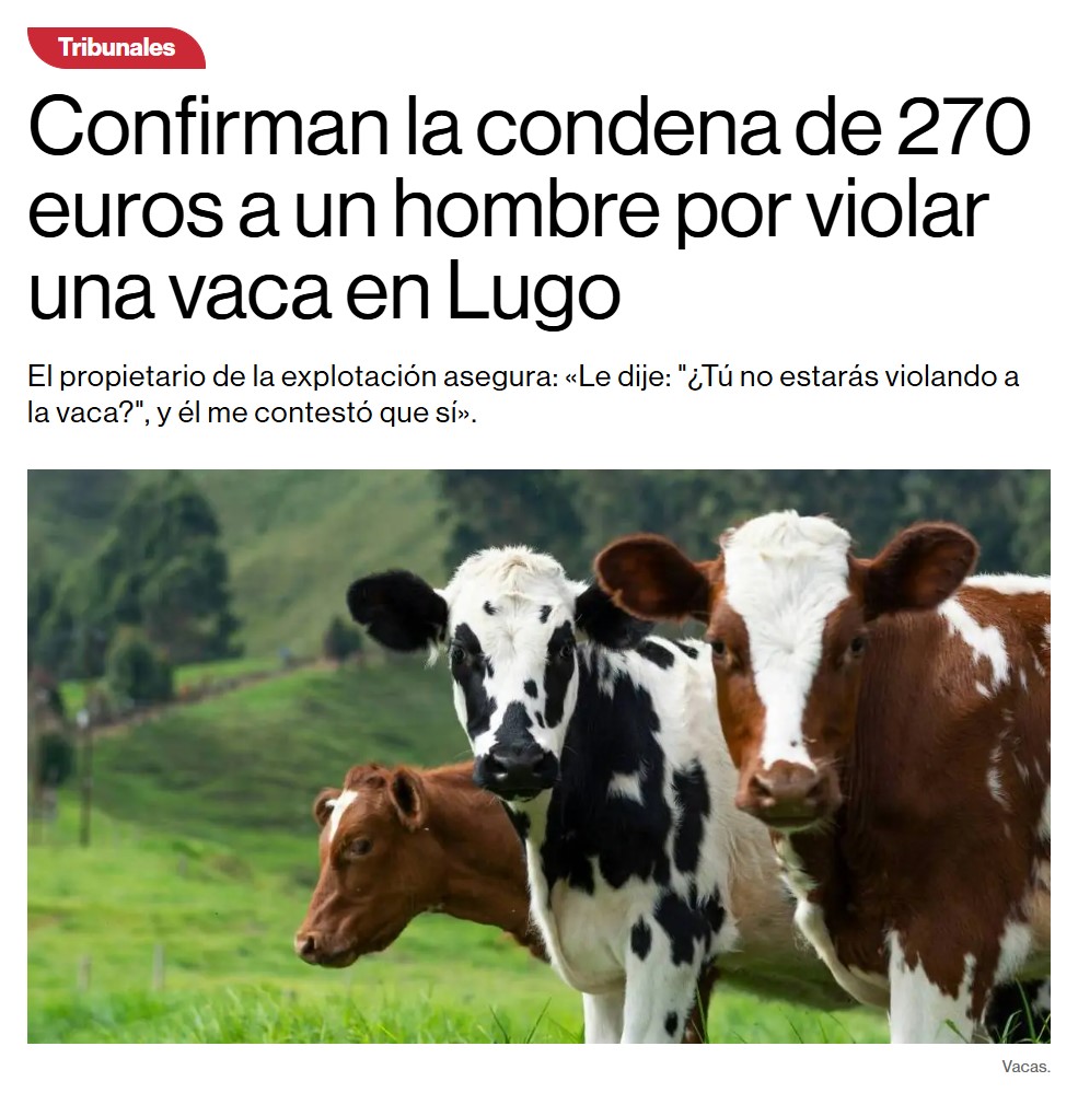 "Le dije: '¿Tú no estarás vioIando a la vaca?' y él me contestó que sí".