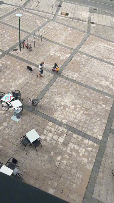 Burgos. Mucho viento, cucurella en silla de ruedas y un cerdo negro.