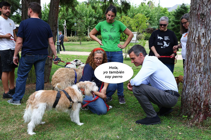 A Perro aún le queda sentido del humor.