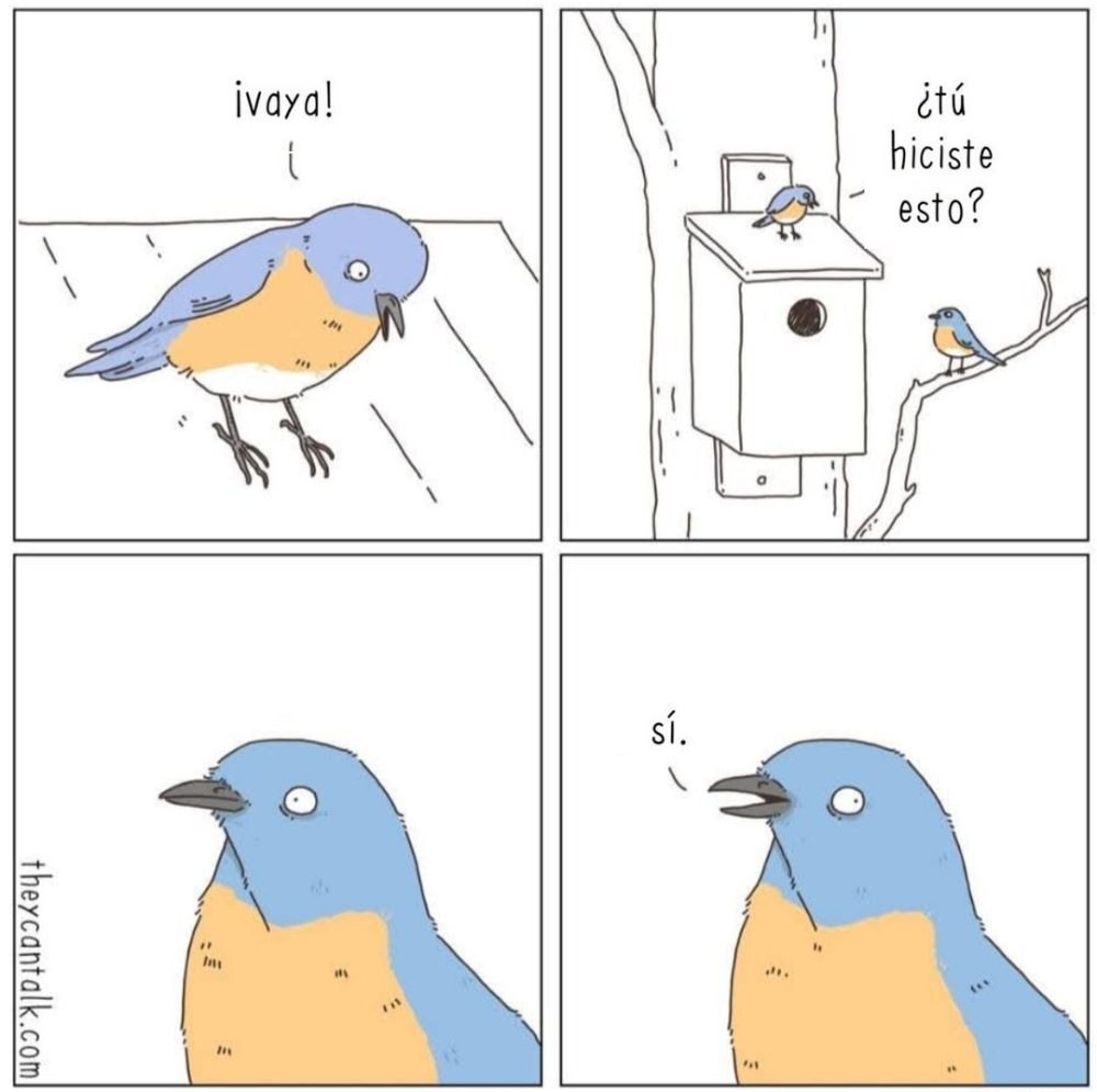 Sí