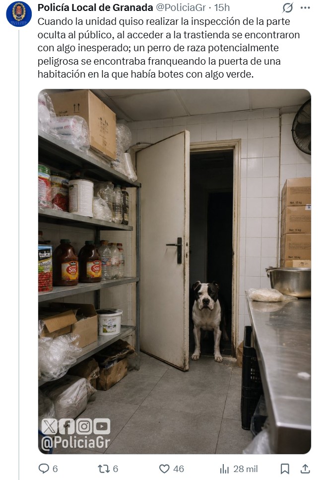 Esto es todo lo que se encontraron en el kebab infernal clausurado en Granada.