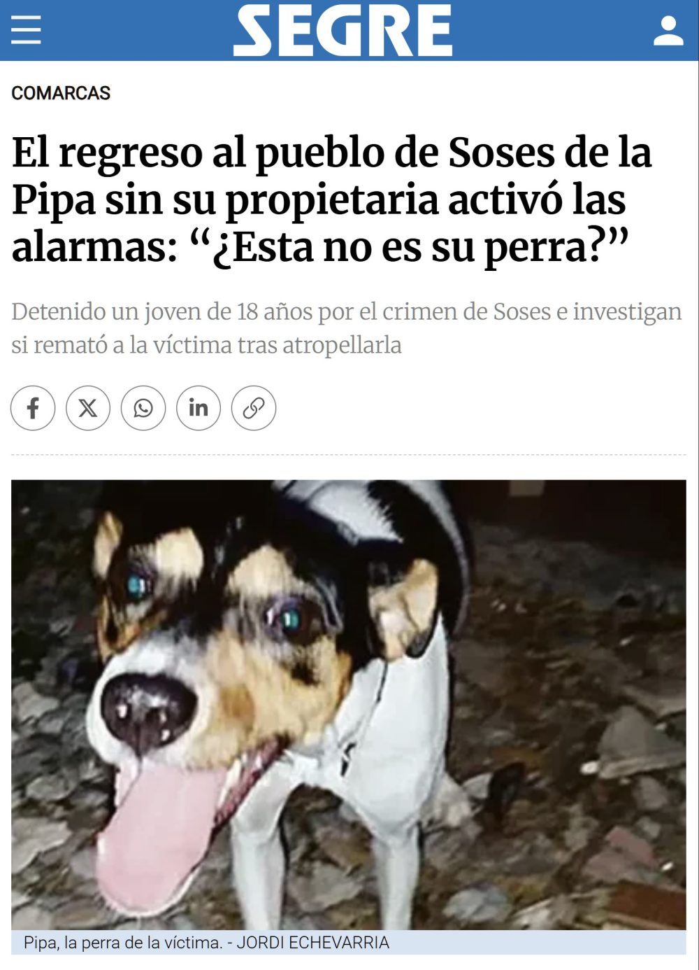 Atropella a una anciana y en lugar de socorrerla la degoIIa.