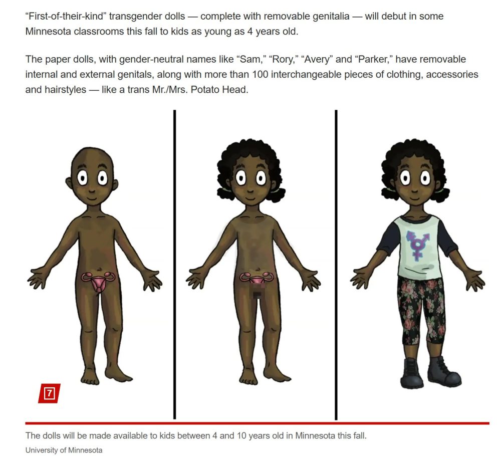 Minnesota introducirá muñecas transgénero con genitaIes intercambiables en aulas de niños entre las edades de 4 a 10 el próximo otoño.