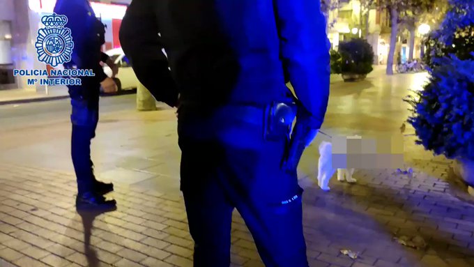 Friendly Reminder: en 2020 (COVID) alguien fue sancionado por pasear al perro a la 1:30 de la madrugada.