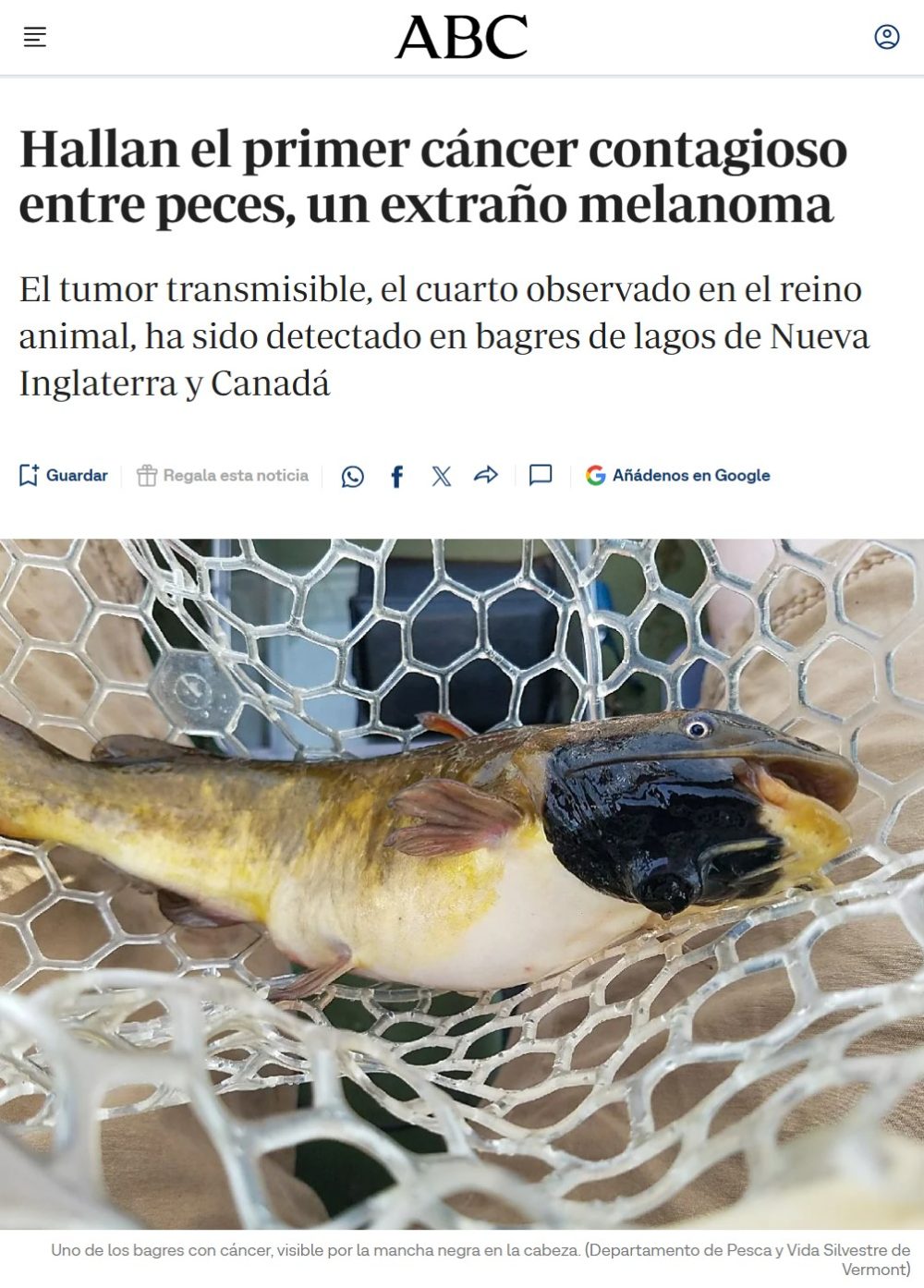 Pocas cosas se me ocurren más acojonantes que "cáncer contagioso".