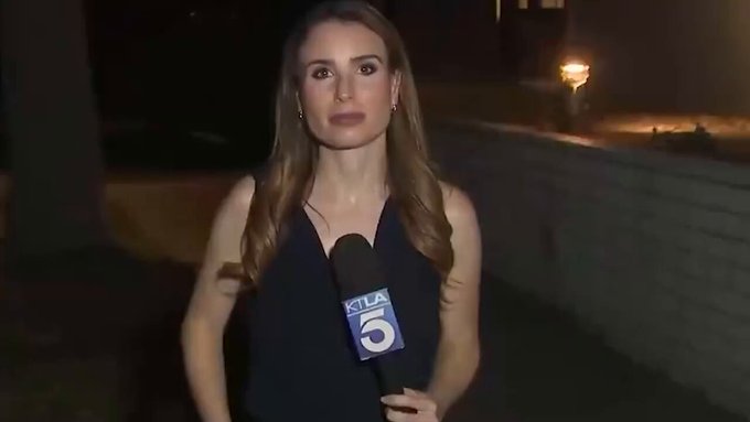 Un enorme cucarachote se posa sobre el cuello de una reportera en pleno directo.