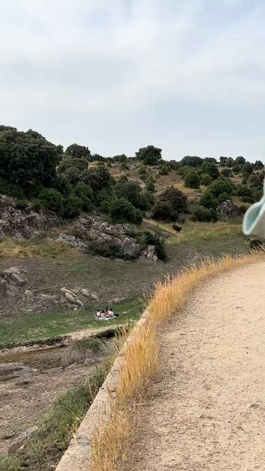 Un 10 al cámara que sabía lo que iba a pasar y se puso a grabar.