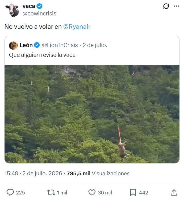 Pobre vaca :3