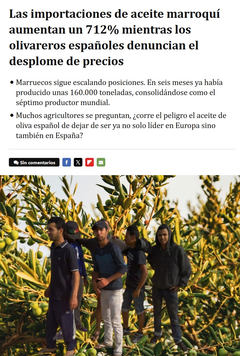 Marruecos multiplica por ocho sus ventas de aceite a la Unión Europea