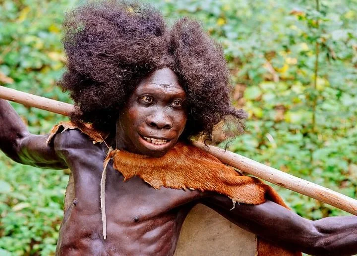 Esta es la reconstrucción facial del 'Niño de Turkana', un niño de 9 años que vivió en Kenia hace 1,5 millones de años, cuyo esqueleto es el fósil de Homo erectus más completo jamás encontrado.