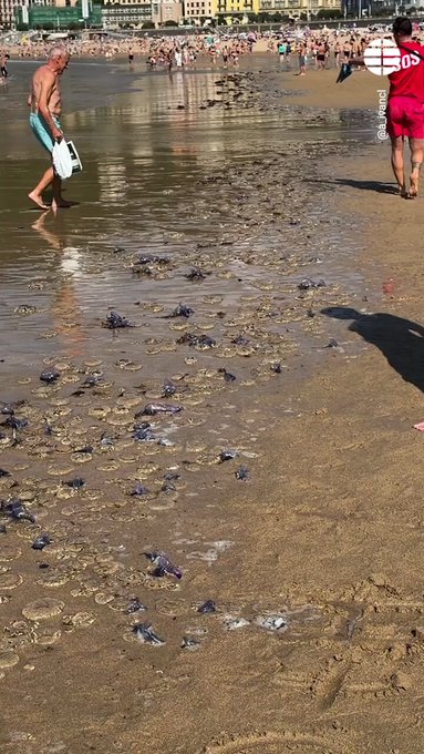 Yo veo carabelas que están buscando una vida mejor, nada de invasión.