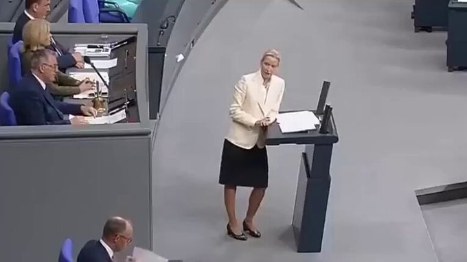 «En mis primeros 100 días, cerraré las fronteras, eliminaré los beneficios sociales para los migrantes y llevaré a cabo las mayores deportaciones de Alemania.»