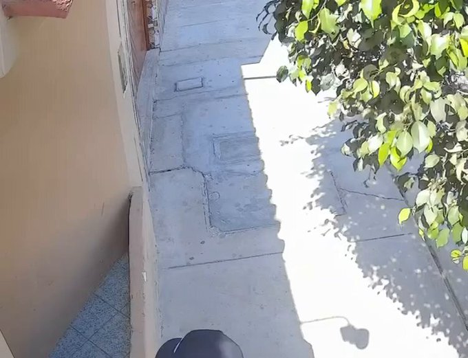 Hay que ser un auténtico cerdo negro para hacer esto.