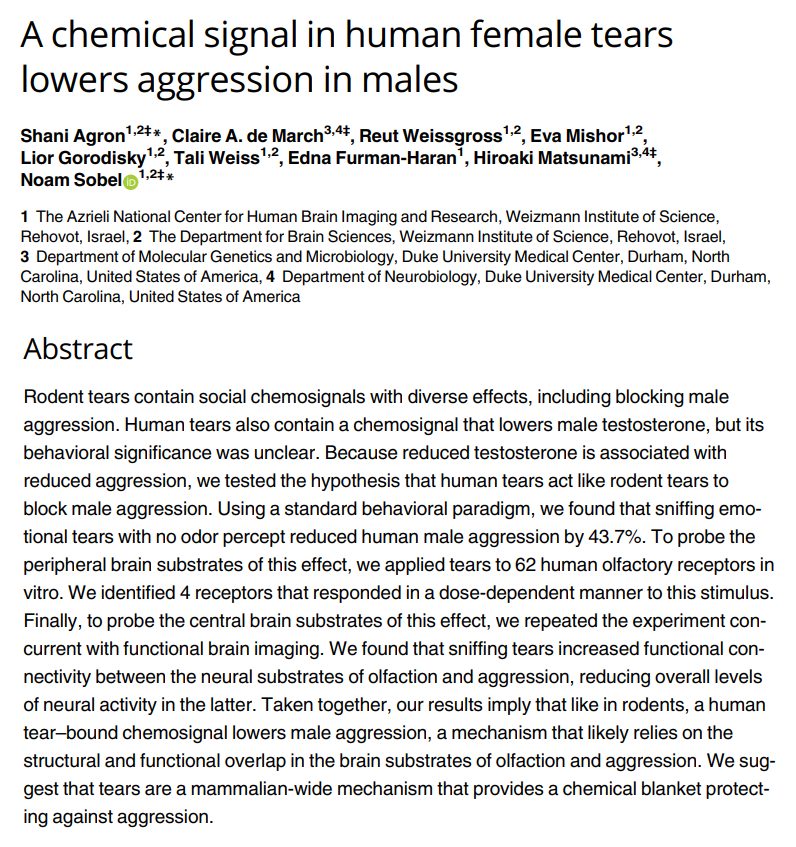 Cuando los hombres huelen lágrimas emocionales de mujer, reducen su agresividad un 43,7% en promedio.