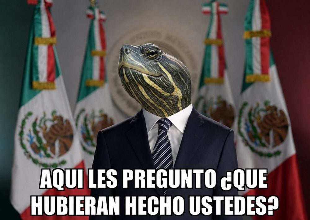 No la culpo...