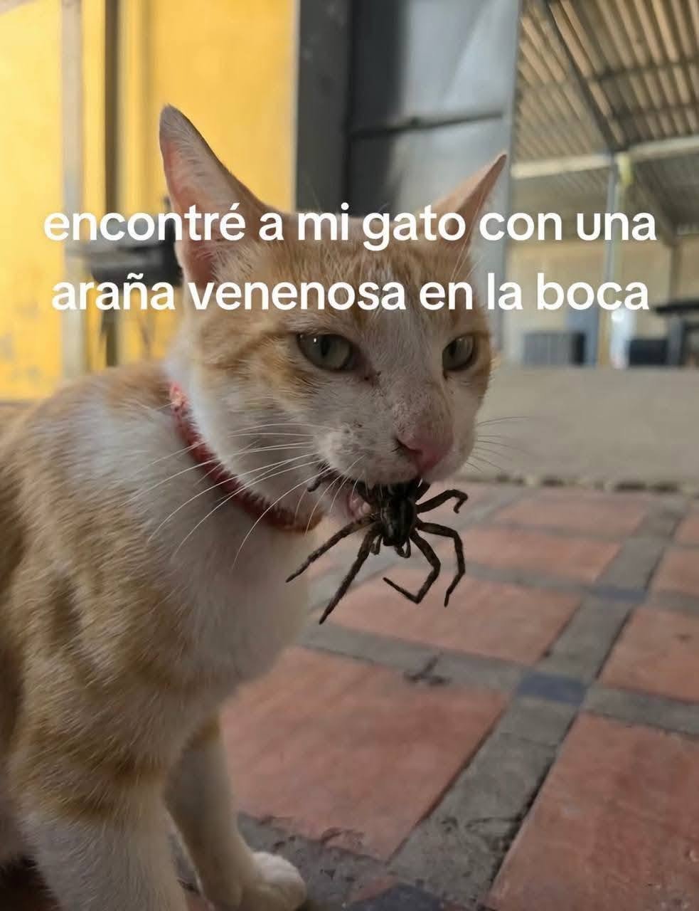 Nooooooooooooooo