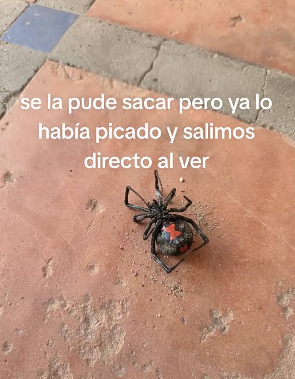 Nooooooooooooooo