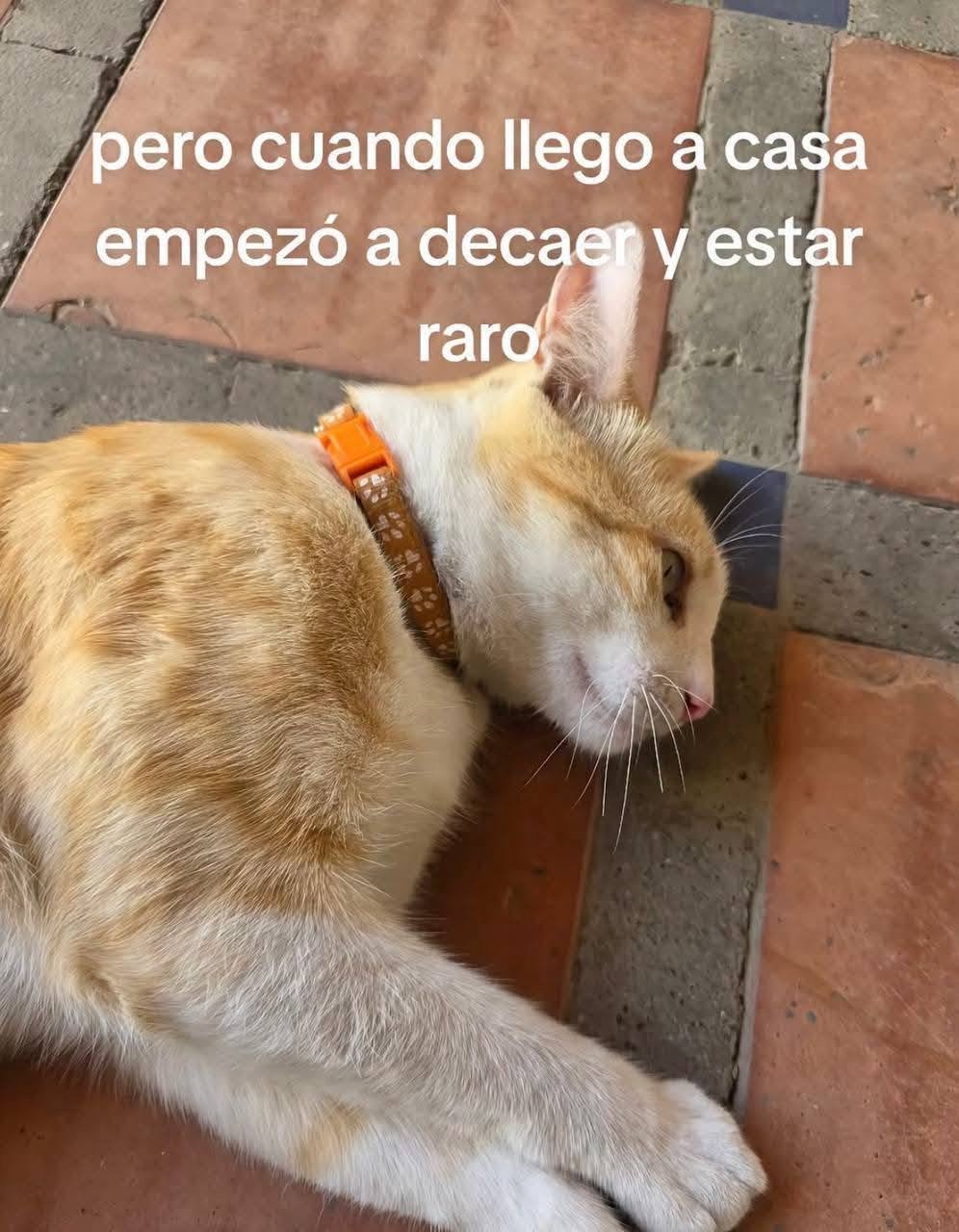 Nooooooooooooooo