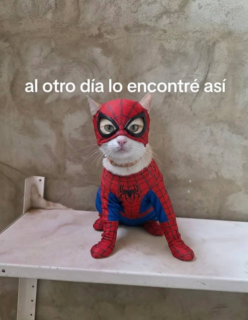 Nooooooooooooooo