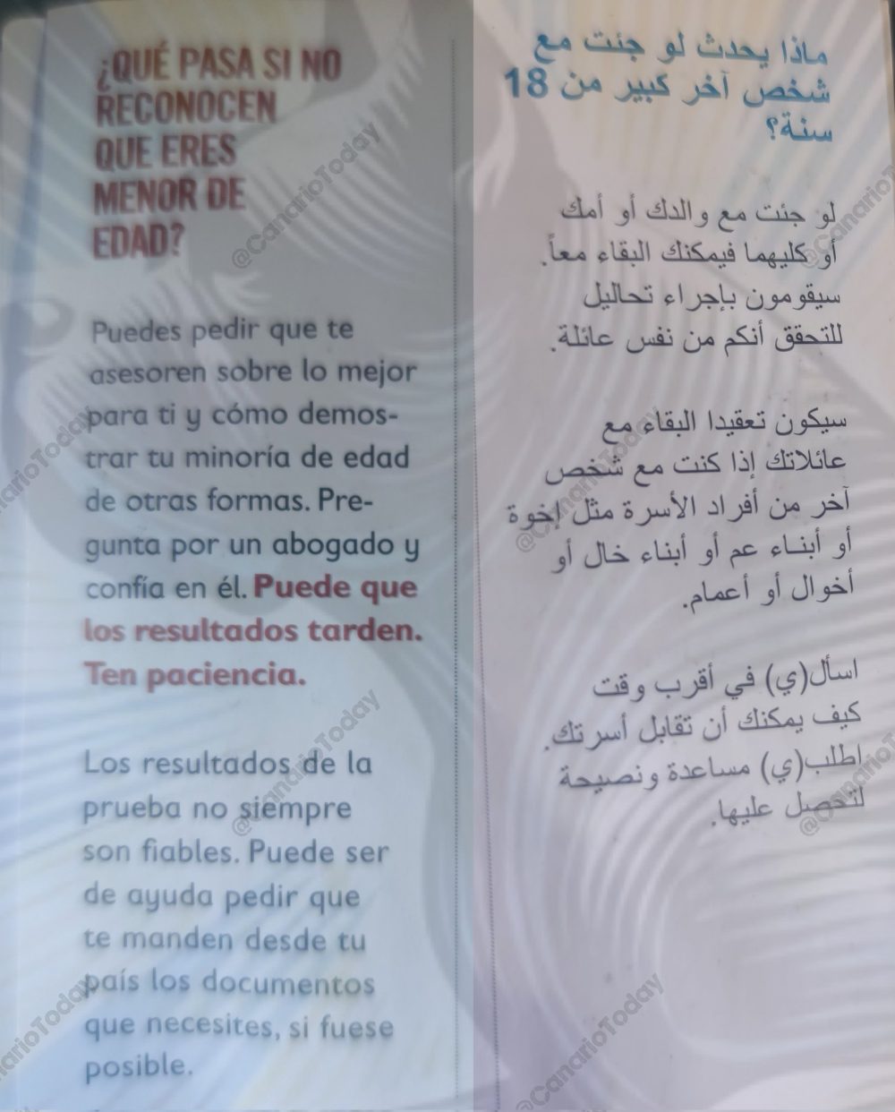 Una ceutí denuncia que una ONG se ha dedicado a dar sprays pimienta a los inmigrantes ilegales