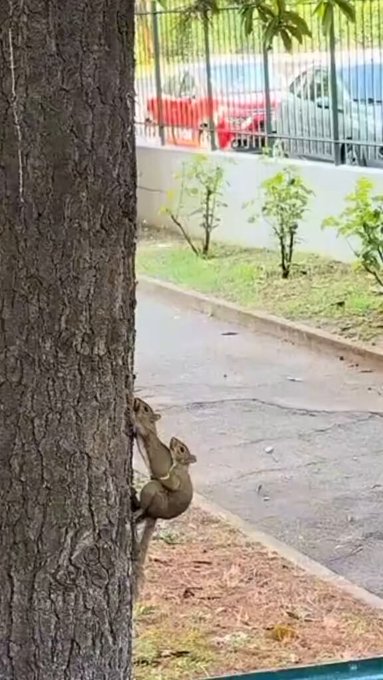 Buenos días.