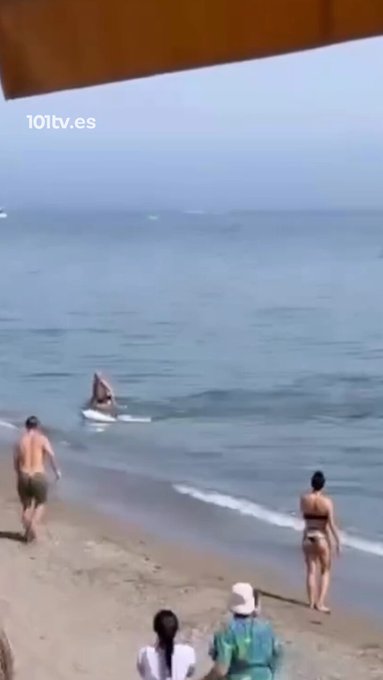 Susto en la playa Marbella por la aparición de un enorme atún junto a la orilla.