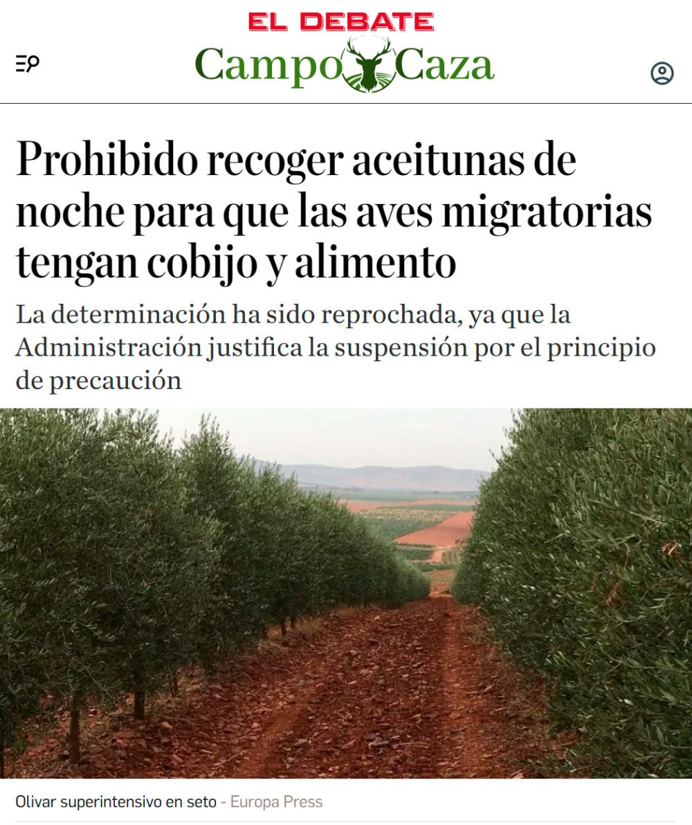 Prohibido recoger olivas por la noche: molesta a los pajaritos.