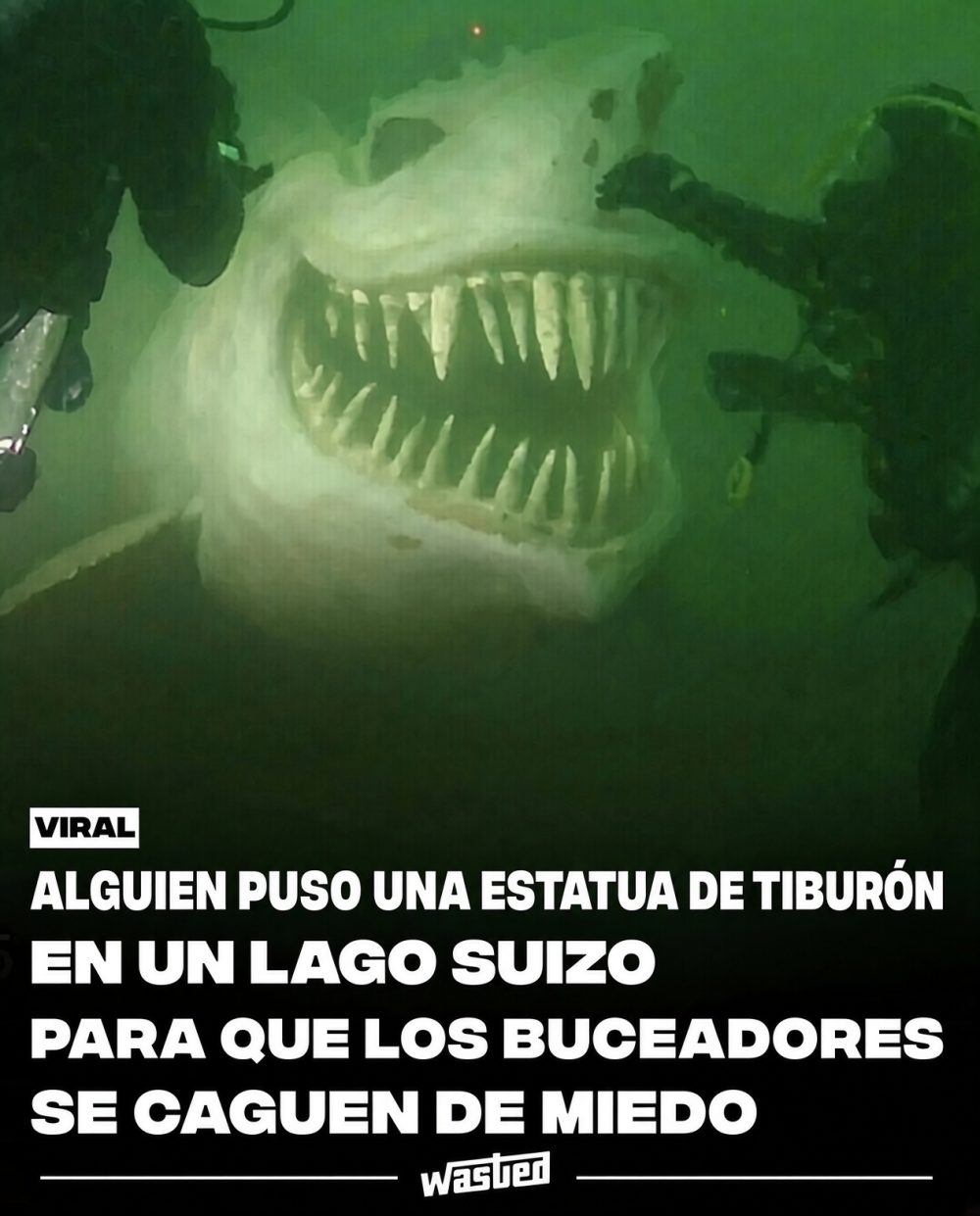 Hay un tremendo trolaso suelto por Suiza.