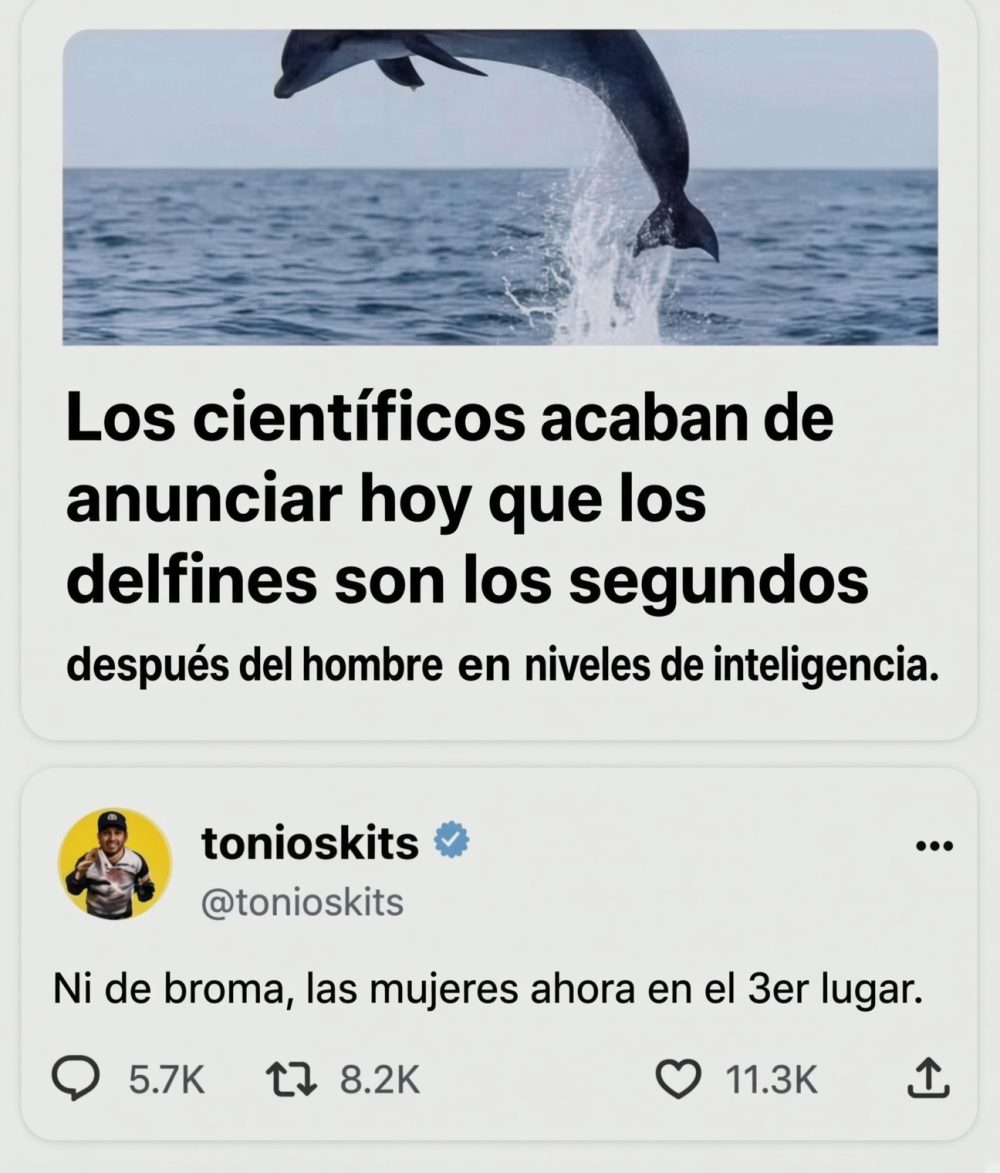 Los delfines son más listos de lo que pensábamos.